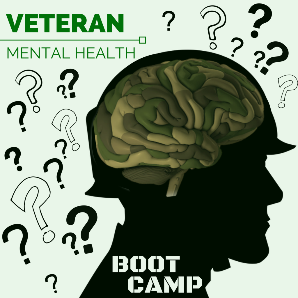 Mental Healthmet Camo